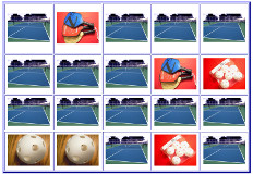 Pickleball Paddle Game